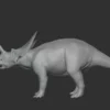 Brachyceratops Basemesh 3D Model Free Download 3D Model Creature Guard 12