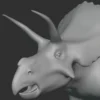 Diceratops Basemesh 3D Model Free Download 3D Model Creature Guard 15