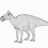 Edmontosaurus Basemesh 3D Model Free Download 3D Model Creature Guard 20