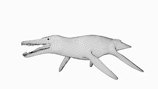 Kronosaurus Basemesh 3D Model Free Download 3D Model Creature Guard 10