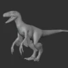 Microraptor Basemesh 3D Model Free Download 3D Model Creature Guard 12