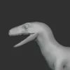 Microraptor Basemesh 3D Model Free Download 3D Model Creature Guard 17