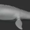 Mosasaurus Basemesh 3D Model Free Download 3D Model Creature Guard 10