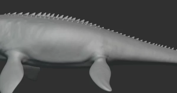 Mosasaurus Basemesh 3D Model Free Download 3D Model Creature Guard 5