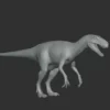 Nanotyrannus Basemesh 3D Model Free Download 3D Model Creature Guard 13