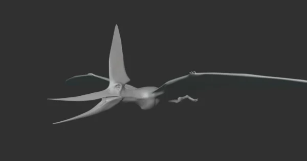 Nyctosaurus Basemesh 3D Model Free Download 3D Model Creature Guard 3