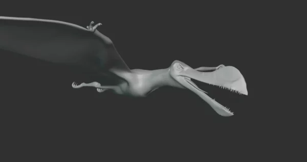 Ornithocheirus Basemesh 3D Model Free Download 3D Model Creature Guard 4