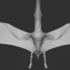 Ornithocheirus Basemesh 3D Model Free Download 3D Model Creature Guard 14