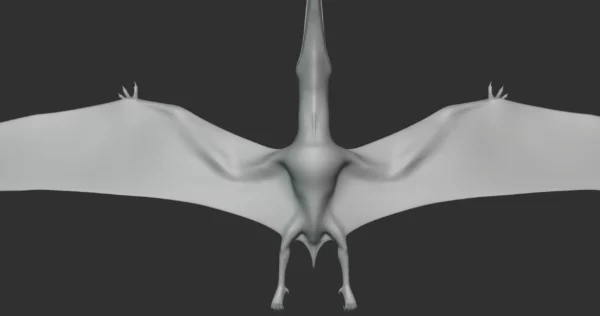 Ornithocheirus Basemesh 3D Model Free Download 3D Model Creature Guard 5