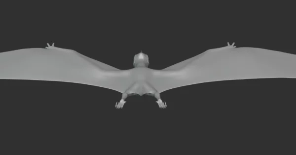 Ornithocheirus Basemesh 3D Model Free Download 3D Model Creature Guard 6