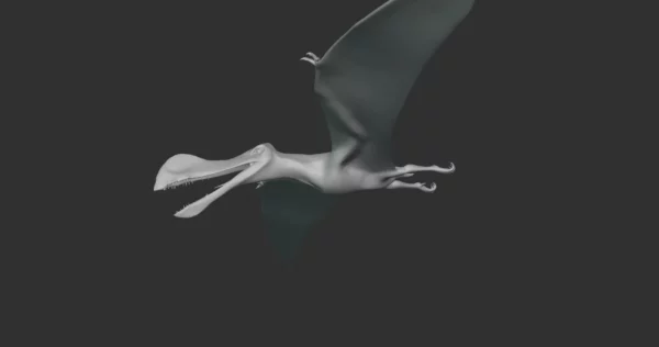 Ornithocheirus Basemesh 3D Model Free Download 3D Model Creature Guard 7