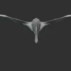 Ornithocheirus Basemesh 3D Model Free Download 3D Model Creature Guard 17