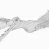 Ornithocheirus Basemesh 3D Model Free Download 3D Model Creature Guard 18