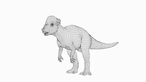 Pachycephalosaurus Basemesh 3D Model Free Download 3D Model Creature Guard 9