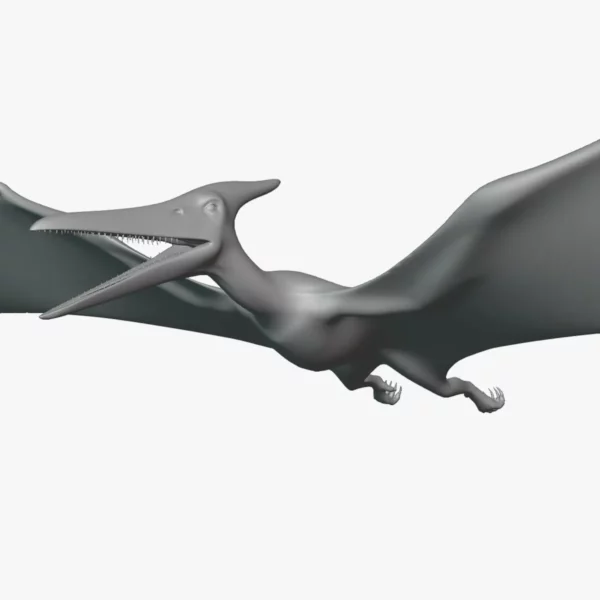 Pteranodon Basemesh 3D Model Free Download 3D Model Creature Guard