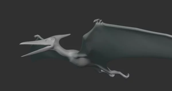 Pteranodon Basemesh 3D Model Free Download 3D Model Creature Guard 3