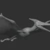 Pteranodon Basemesh 3D Model Free Download 3D Model Creature Guard 14