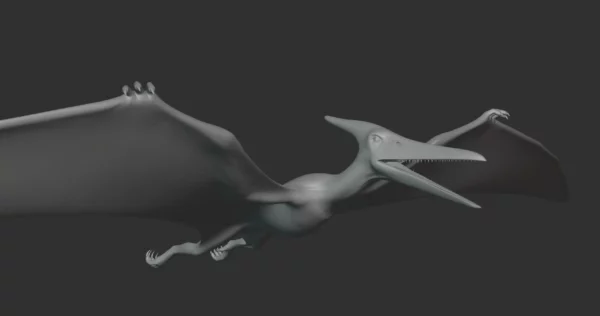 Pteranodon Basemesh 3D Model Free Download 3D Model Creature Guard 4