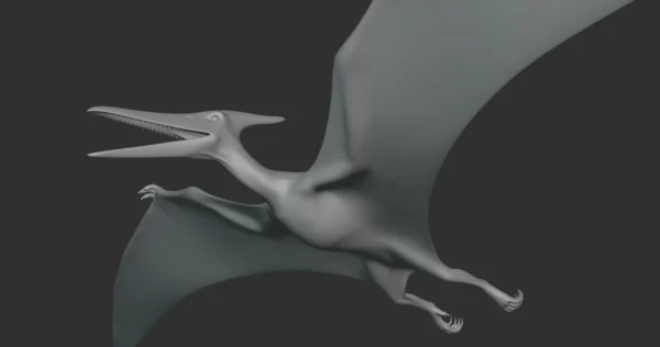 Pteranodon Basemesh 3D Model Free Download 3D Model Creature Guard 6