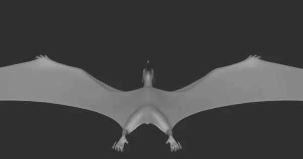 Pteranodon Basemesh 3D Model Free Download 3D Model Creature Guard 7