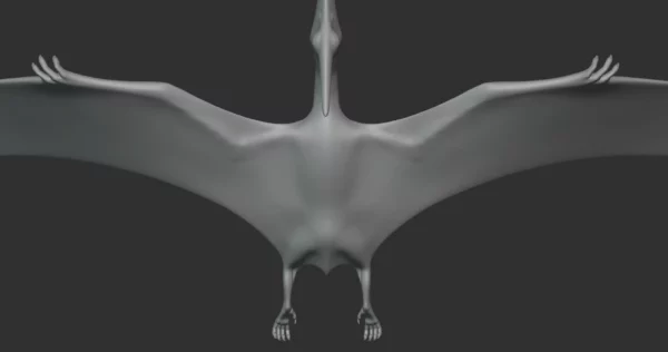 Pteranodon Basemesh 3D Model Free Download 3D Model Creature Guard 8