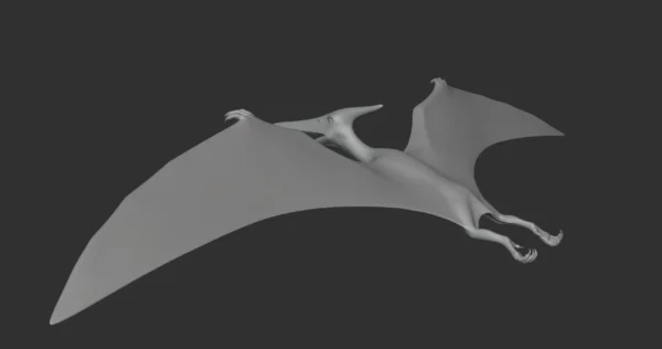 Pteranodon Basemesh 3D Model Free Download 3D Model Creature Guard 9