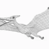 Pteranodon Basemesh 3D Model Free Download 3D Model Creature Guard 20