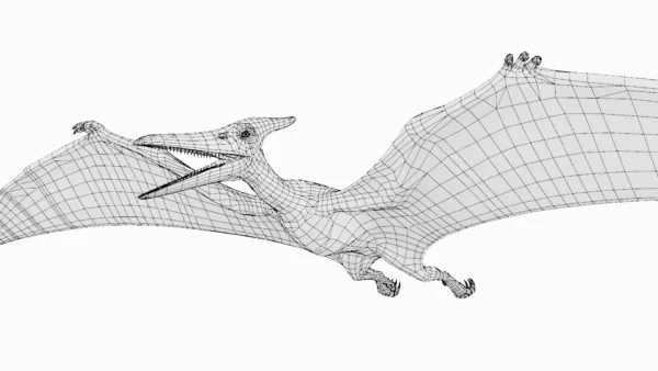 Pteranodon Basemesh 3D Model Free Download 3D Model Creature Guard 10