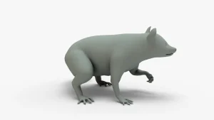 Raccoon 3D Model