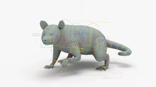 Raccoon 3D Model Rigged Basemesh 3D Model Creature Guard 2