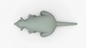 Raccoon 3D Model