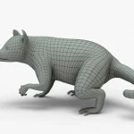 Raccoon Rigged Basemesh(6)