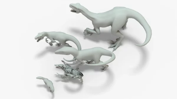 Collection of Raptor 3D Models Rigged Basemesh 3D Model Creature Guard 10