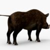 Wild Boar 3D Model Free Download 3D Model Creature Guard 15