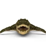 Alligator 3d model_(2)