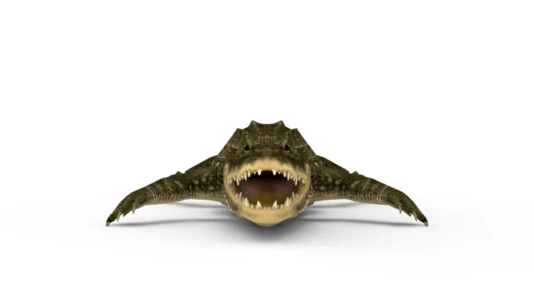 Alligator 3D Model Free Download 3D Model Creature Guard 5