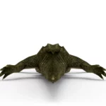 Alligator 3d model_(5)