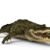 Alligator 3D Model Free Download 3D Model Creature Guard 13