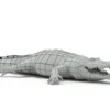 Alligator 3D Model Free Download 3D Model Creature Guard 20