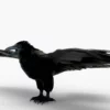 Crow 3D Model Free Download 3D Model Creature Guard 13