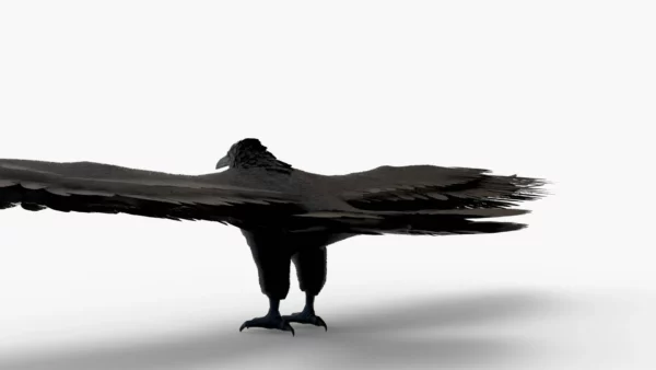 Crow 3D Model Free Download 3D Model Creature Guard 5