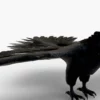 Crow 3D Model Free Download 3D Model Creature Guard 14