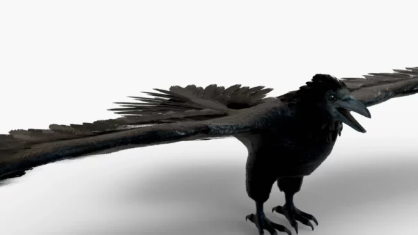 Crow 3D Model Free Download 3D Model Creature Guard 4