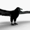 Crow 3D Model Free Download 3D Model Creature Guard 11
