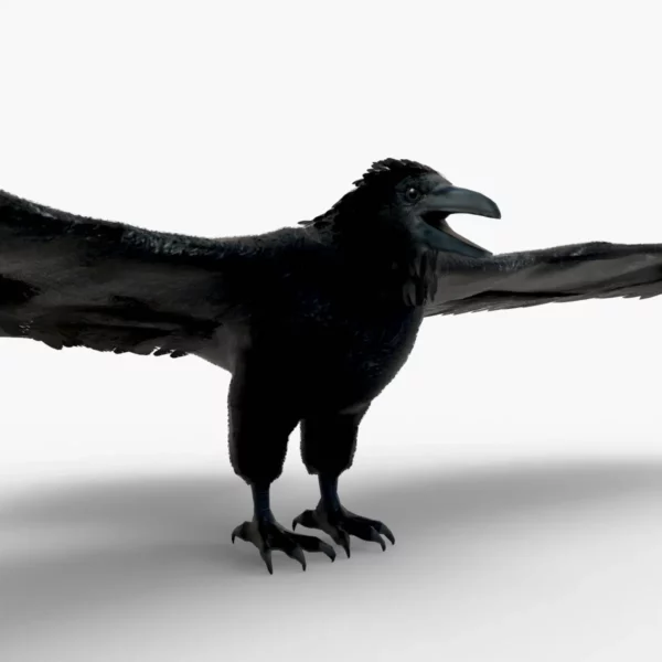 Crow 3D Model Free Download 3D Model Creature Guard