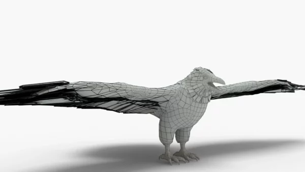 Crow 3D Model Free Download 3D Model Creature Guard 8