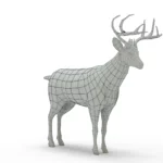 Deer 3d model_(10)