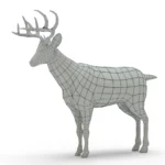 Deer 3d model_(12)