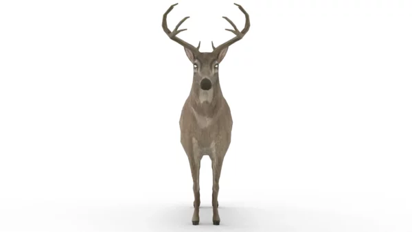 Deer 3D Model Free Download 3D Model Creature Guard 8