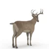 Deer 3D Model Free Download 3D Model Creature Guard 20